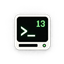Terminal 13 icon